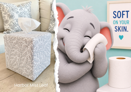 Top 10 Reasons People are Choosing AchooBox Over Disposable Tissue Boxes