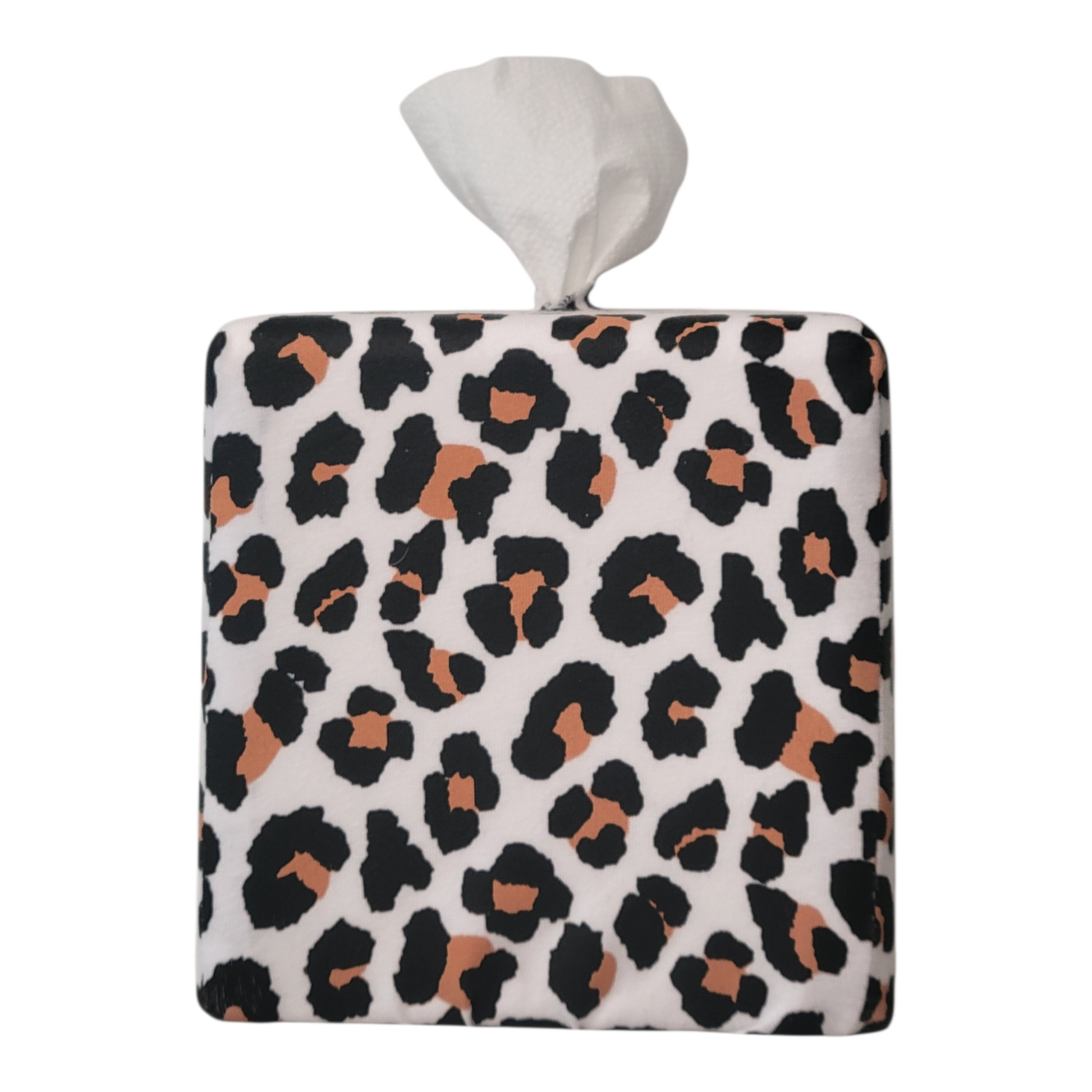 Modern Leopard AchooBox 