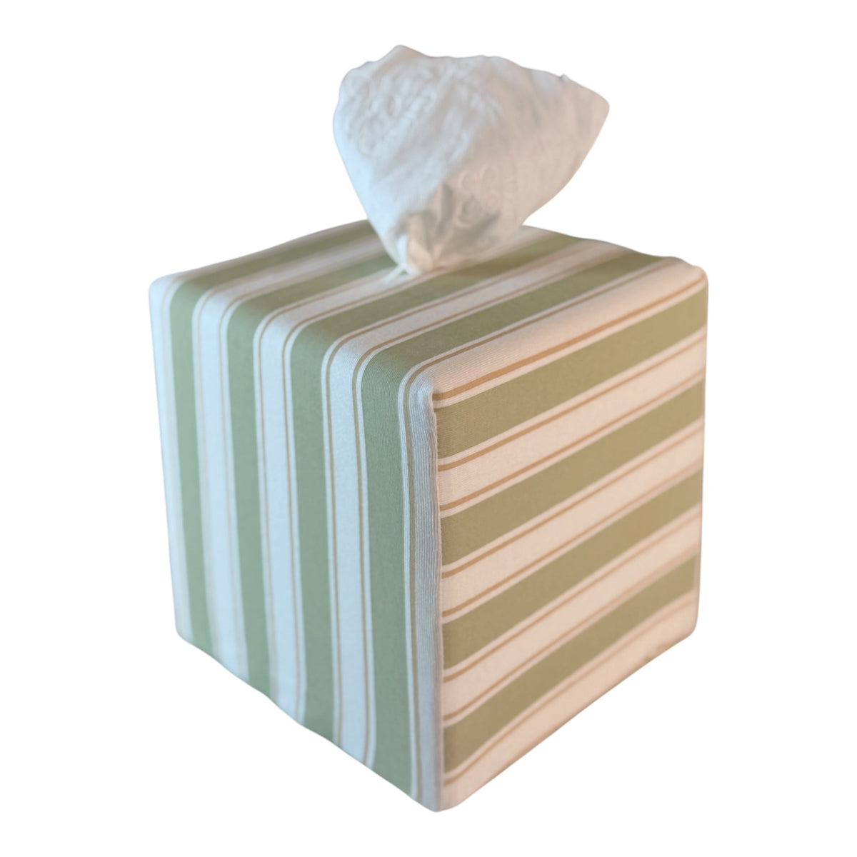 Arbor Stripe AchooBox conceals the roll of bath tissue inside. Tissue protrudes from the top, isolated on a white background.