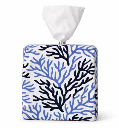 Cape Cod Coral AchooBox with white background