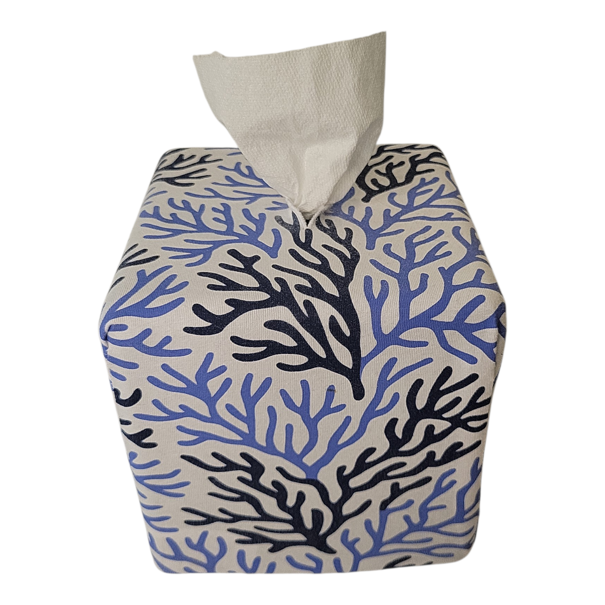 Aerial view of Cape Cod Coral AchooBox