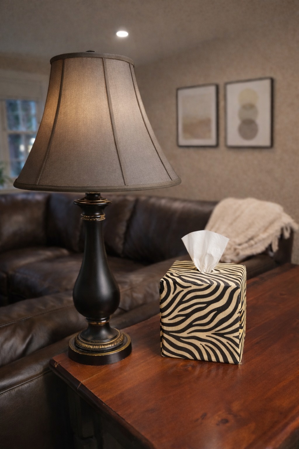 Zebra Zen AchooCover