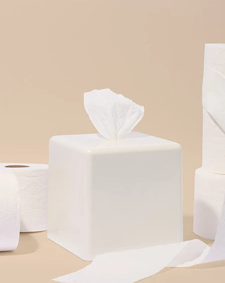 AchooBox Rolled Tissue Dispenser - Brilliant White