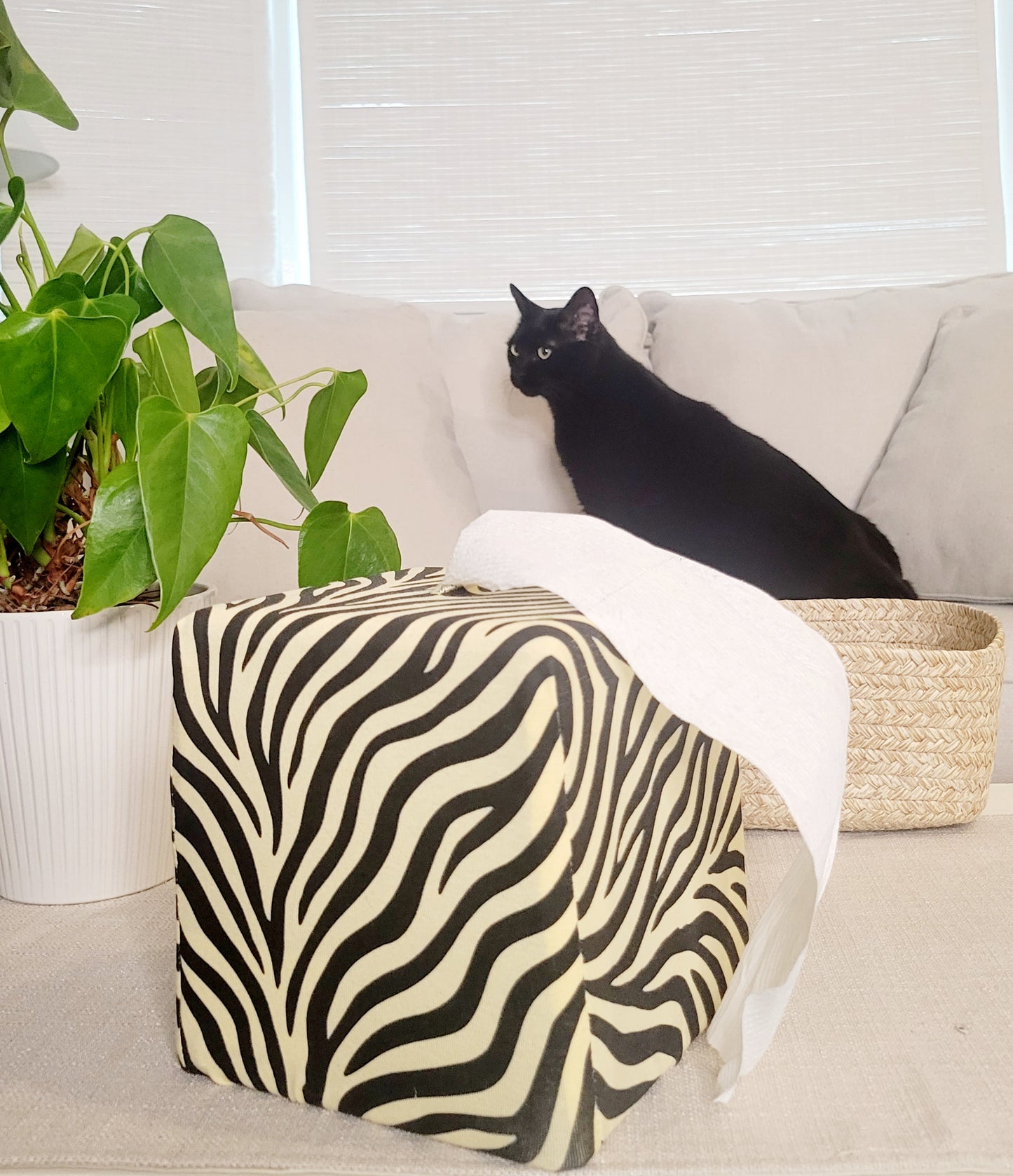 Zebra Zen Core Set